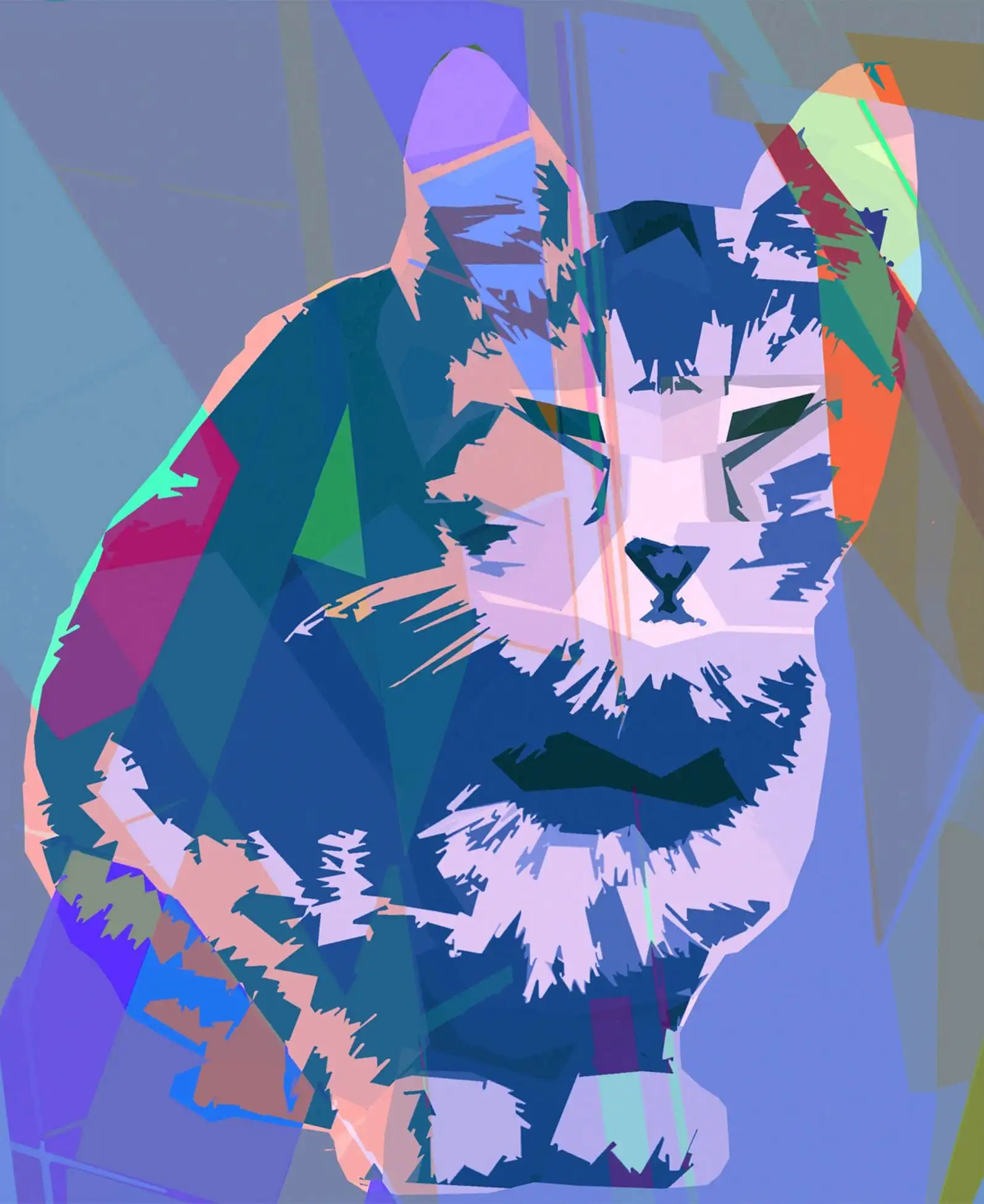 Chat